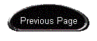 Previous Page