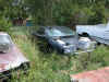 dscn0001.jpg (96945 bytes)